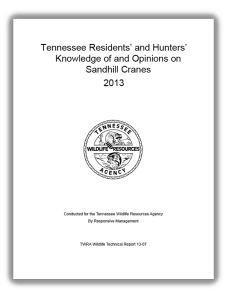 TN Sandhill Crane survey report cover