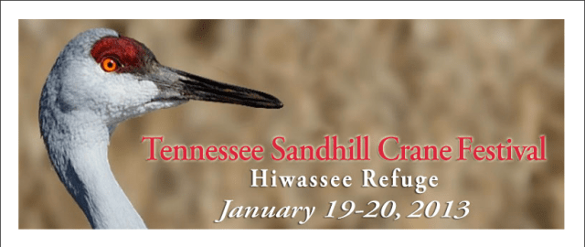 TN Sandhill Crane Festival graphic