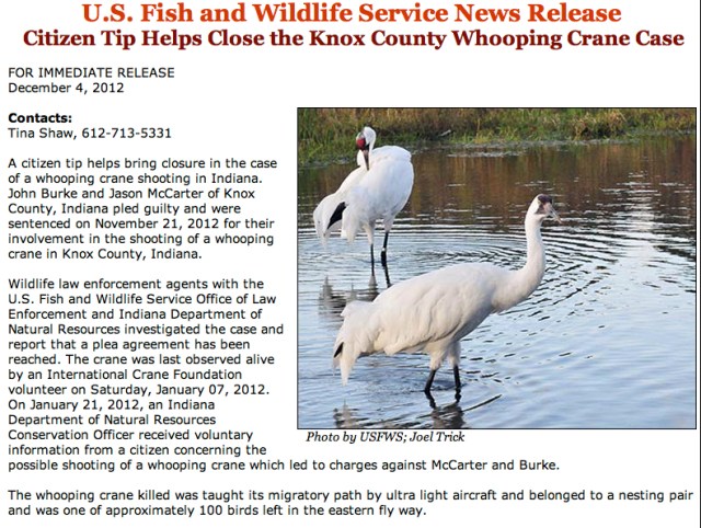 Citizen Tip Helps Close Knox County IN Whooping Crane Case