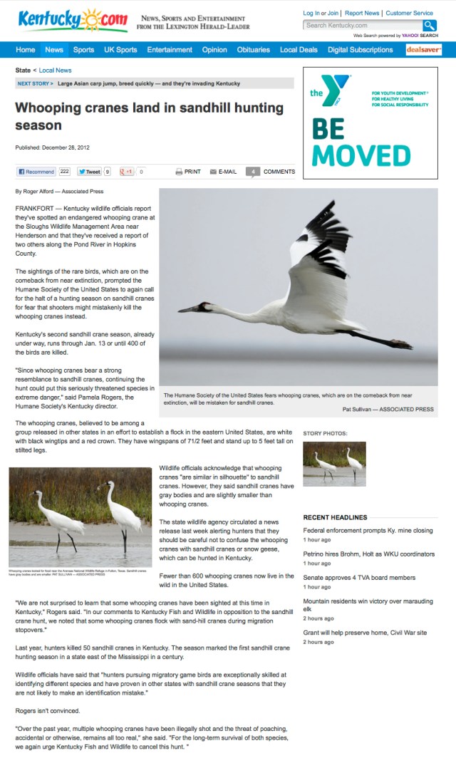 LHL_AP article_Whooping cranes land in Sandhill hunting season_28 DEC 2012