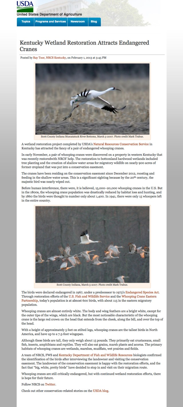 USDA post by Ray Toor_Kentucky Wetland Restoration Attracts Endangered Cranes