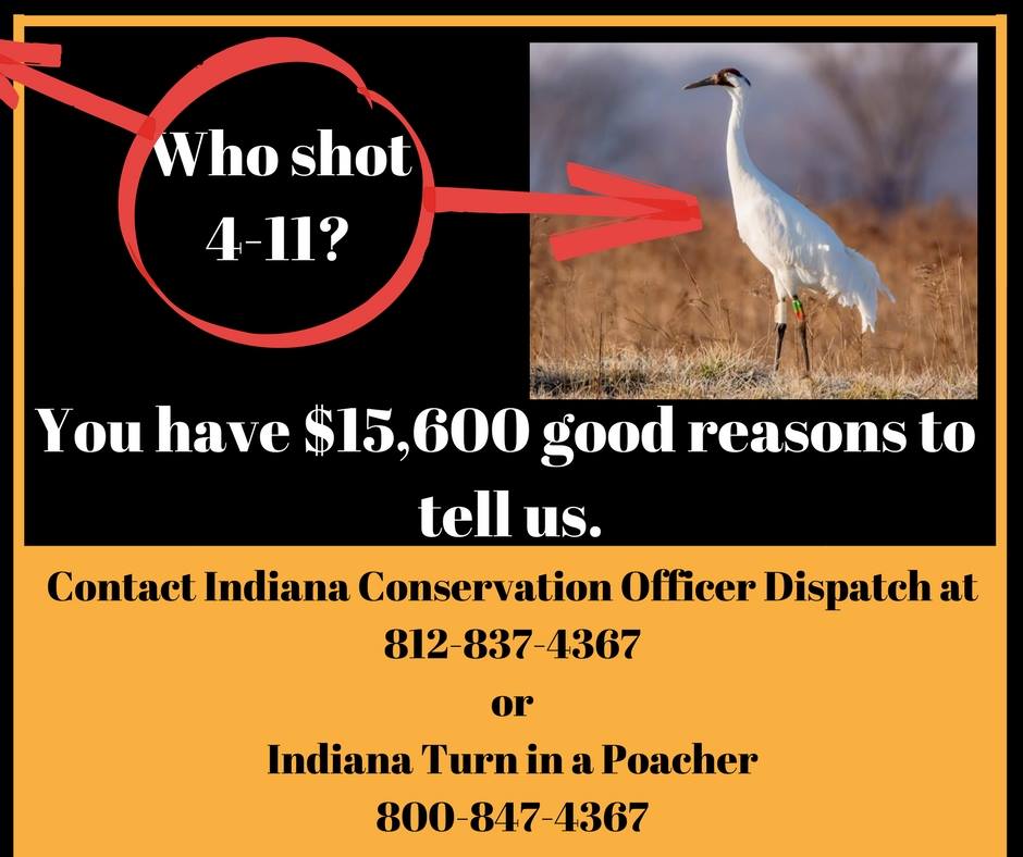 who-shot-4-11-reward-poster