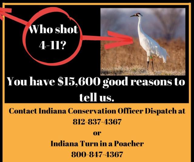 who-shot-4-11-reward-poster