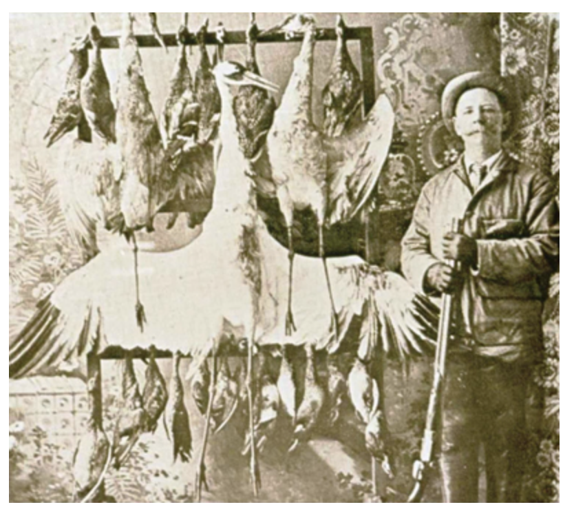 Hunter standing with WHCR and other birds displayed