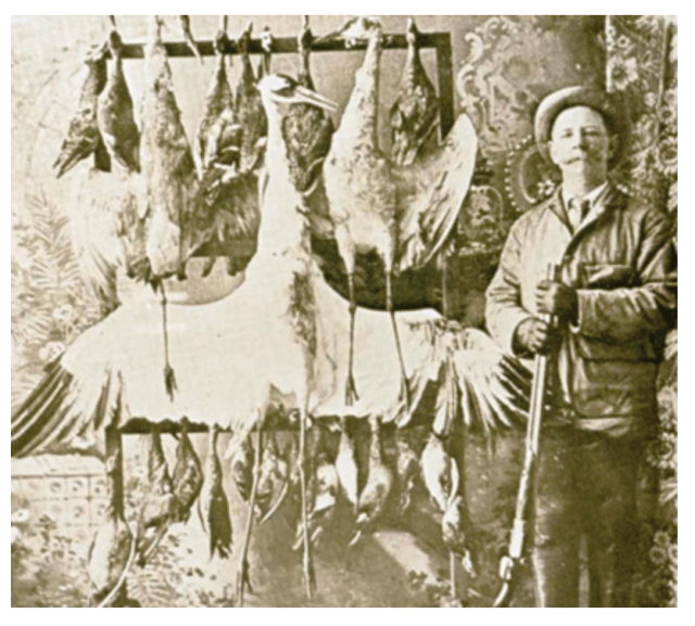 Hunter standing with WHCR and other birds displayed