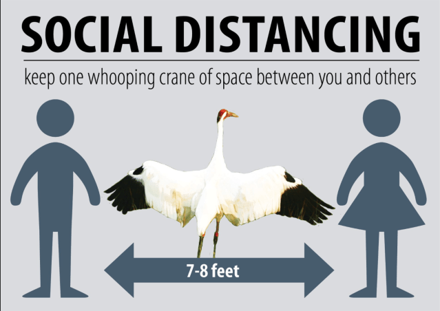 Screen Shot 2020-03-31 at 1.48.55 PM